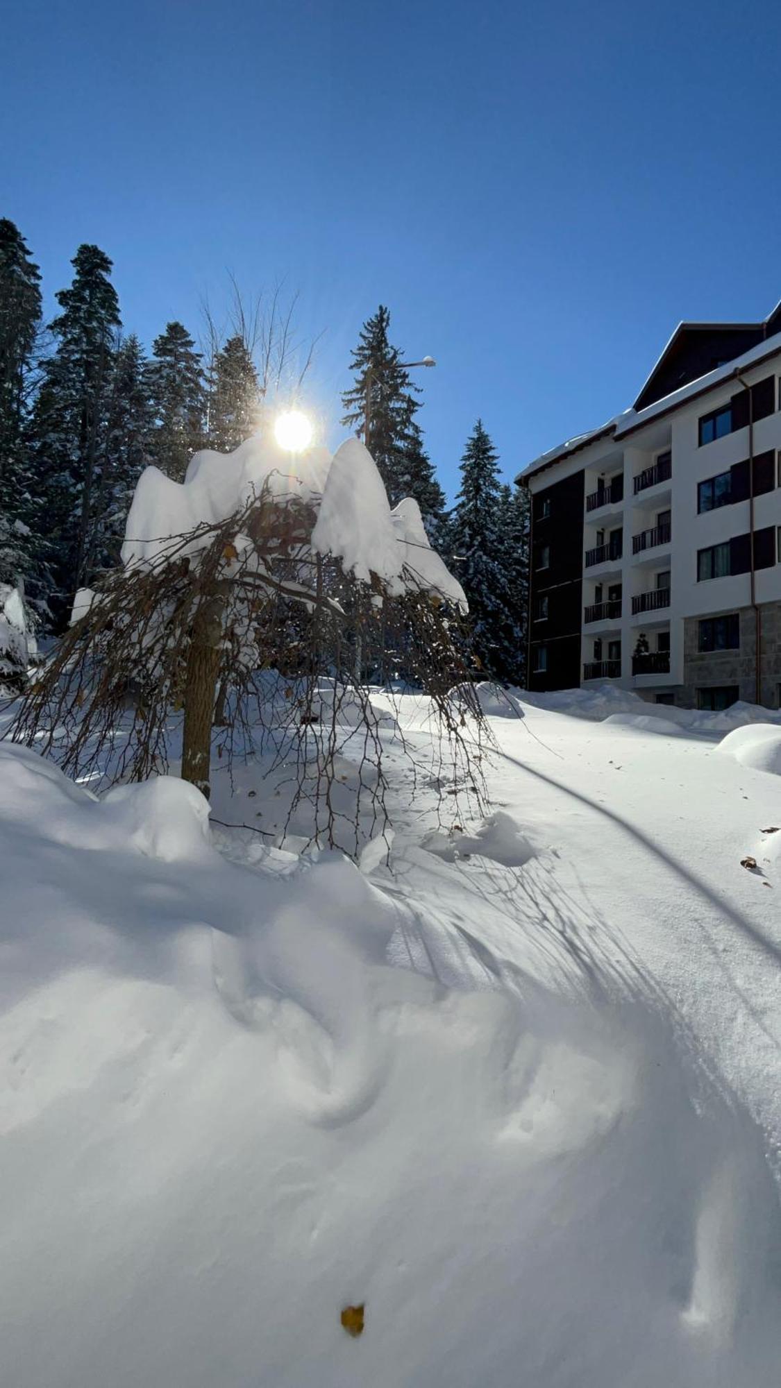 Borovets Gardens B21 Morunov Apart Bagian luar foto