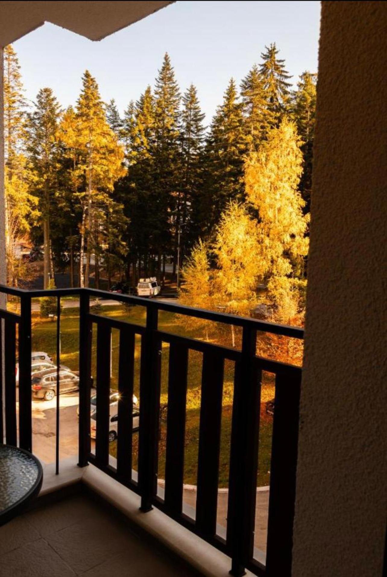 Borovets Gardens B21 Morunov Apart Bagian luar foto